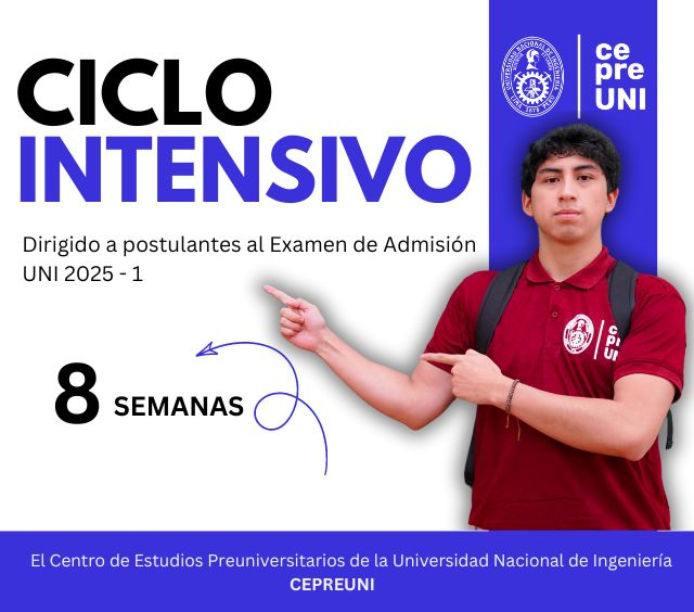 Ciclo Intensivo